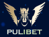 pulibety enilink Profile Picture