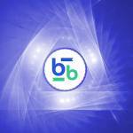 Bitbse Exchange Profile Picture