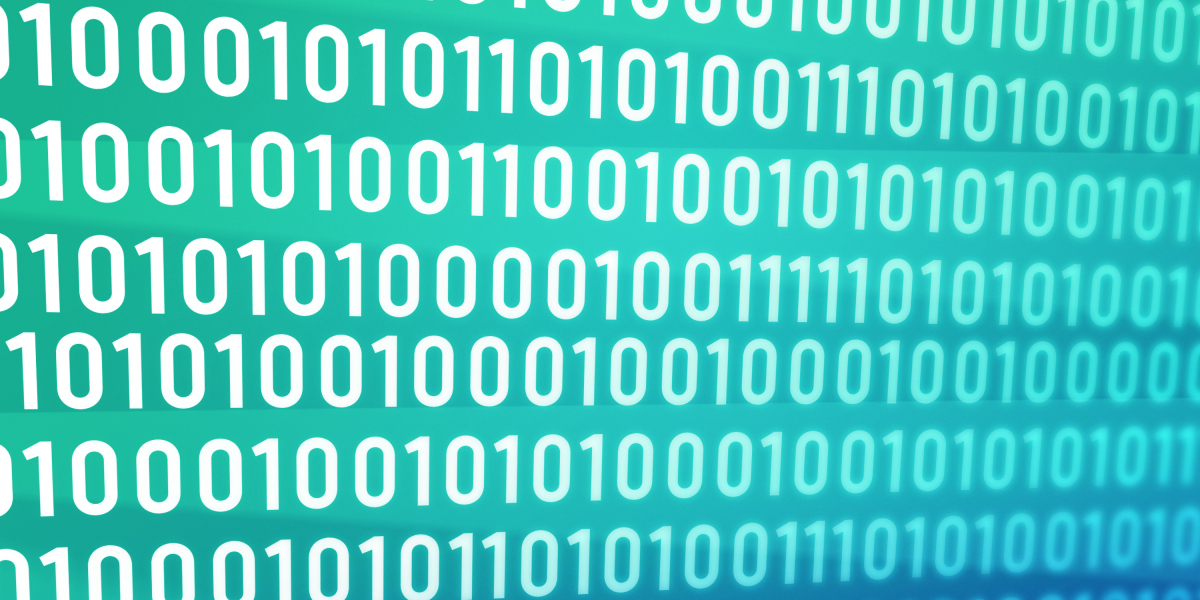 Exploring Private Jet Charters: A Comprehensive Examine on Options Near You