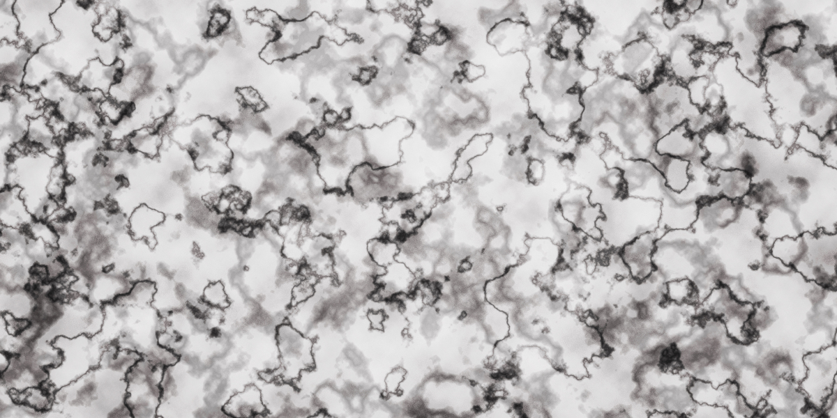 Understanding Private Plane Membership Prices: A Comprehensive Information