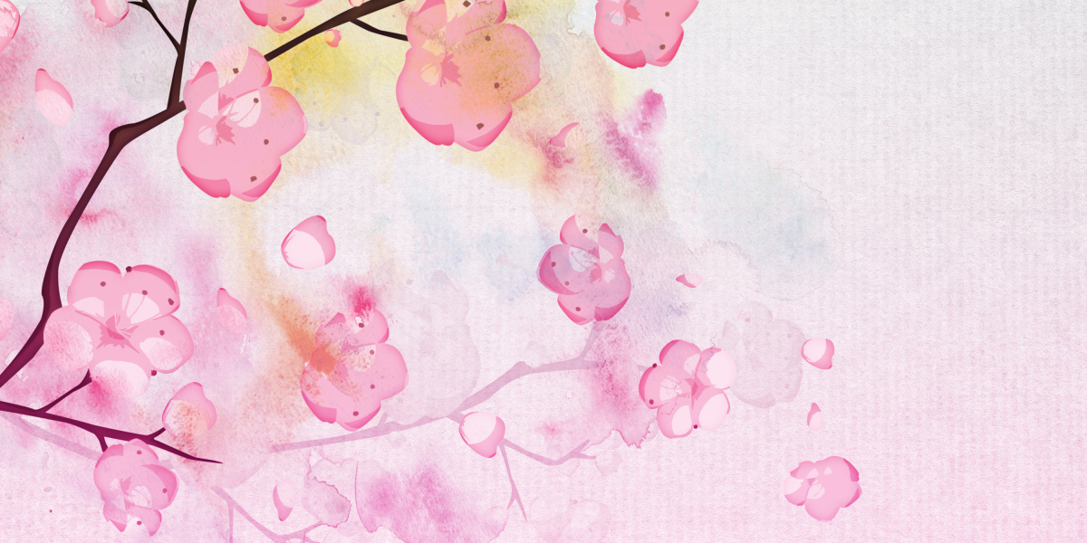 Modafinil Tablets: A Comprehensive Guide to Purchase And Use