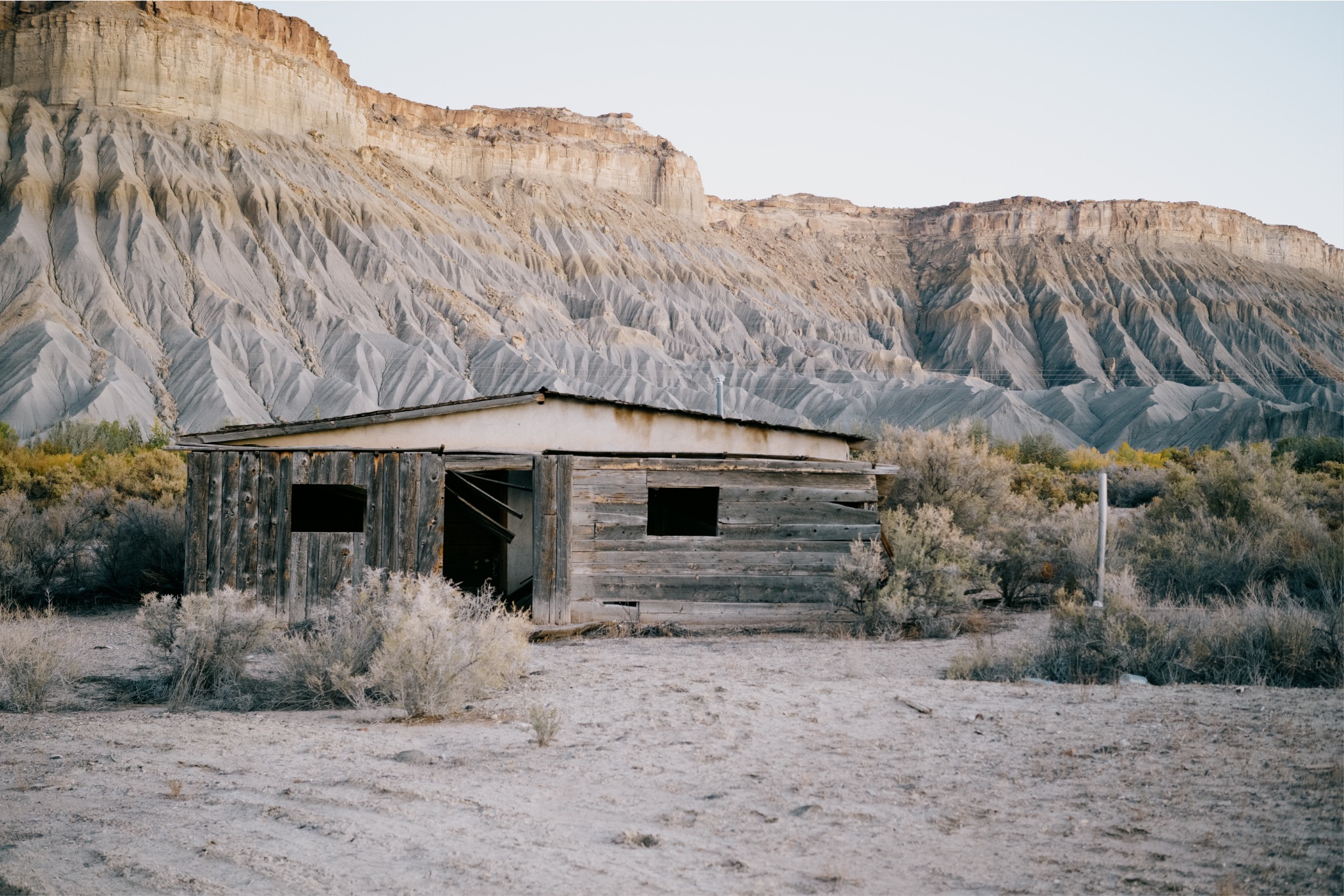 ramu saha Profile Picture