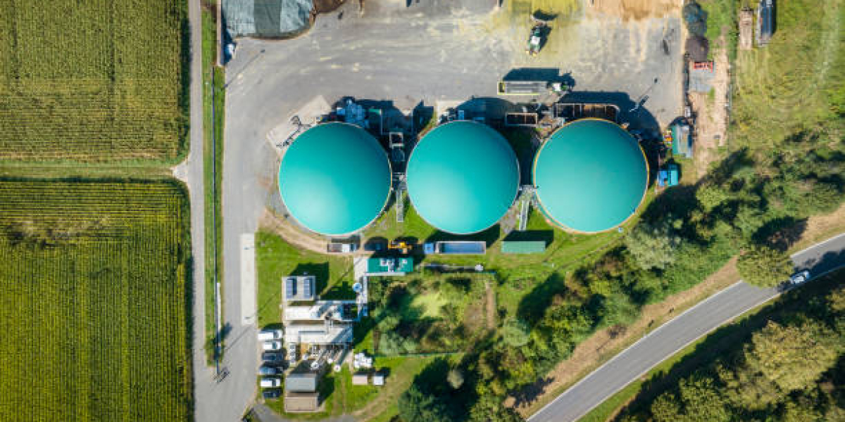 Biofuels Market Dynamics: Environmental Regulations Fueling Industry Growth