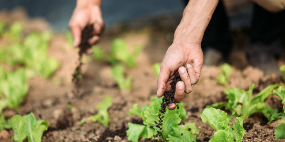 Organic Fertilizer Market Overview: Drivers, Regional Insights & Competitive Landscape