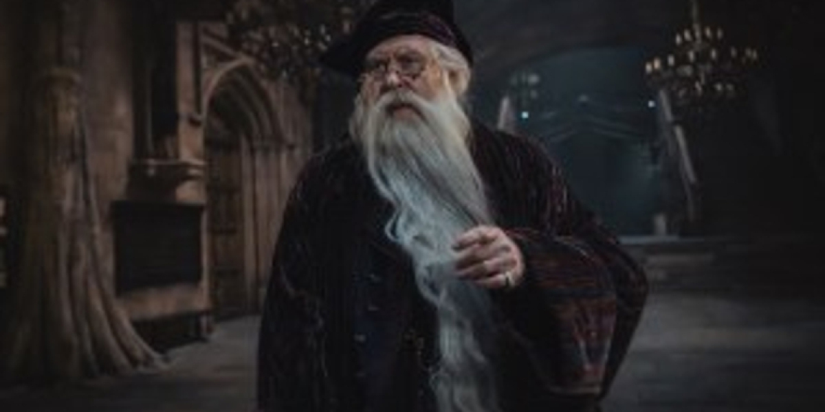 Harry Potter Series: Behind-the-Scenes Documentary