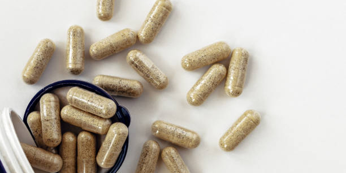 Digestive Enzyme Supplements Market Report: Industry Insights, Key Players, and Future Opportunities