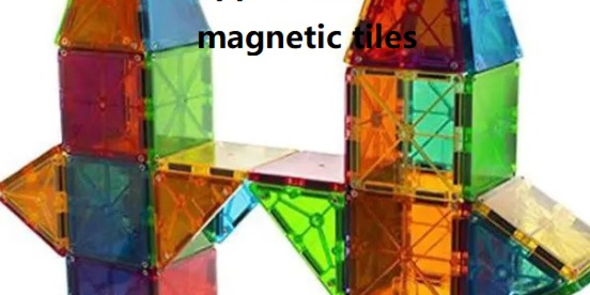 CUSTOMIZED MAGNETISM SHOE MAGNETICSEGMENT Solutions