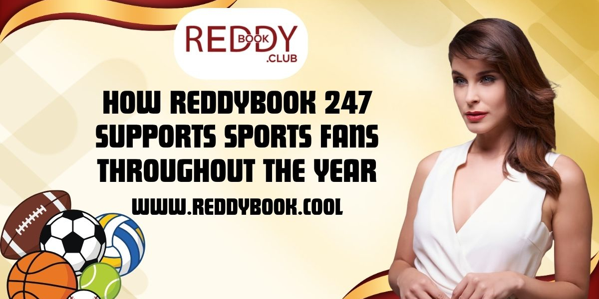 How Reddybook 247 Supports Sports Fans Throughout the Year