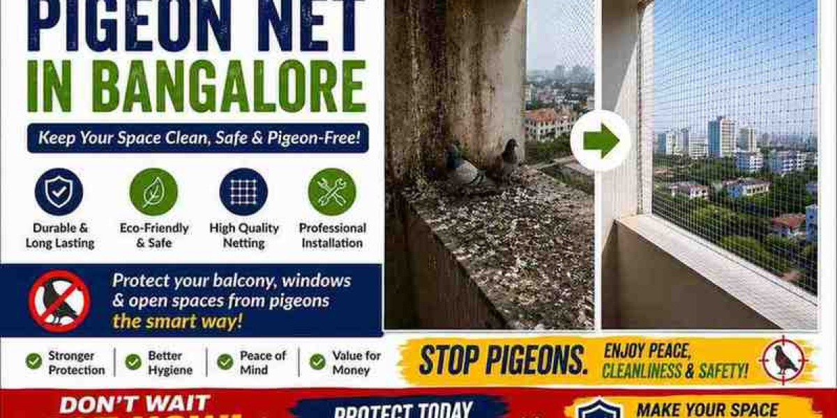How Pigeon Net in Bangalore Protects Your Home from Birds