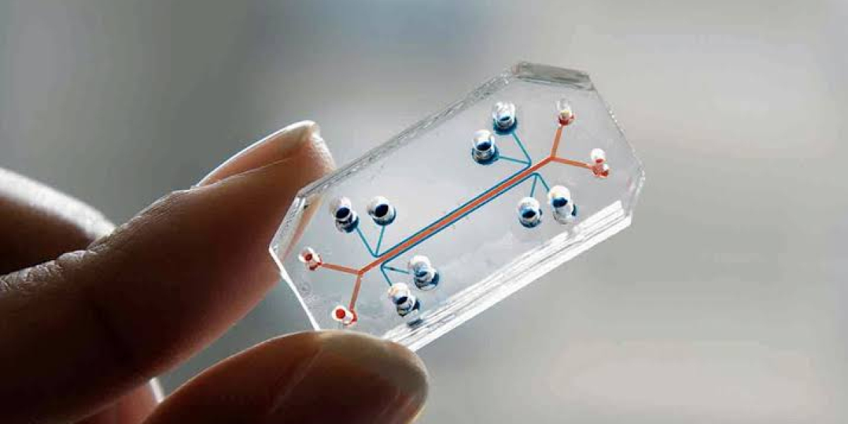 How Organ-on-Chip Technology Is Transforming Drug Discovery