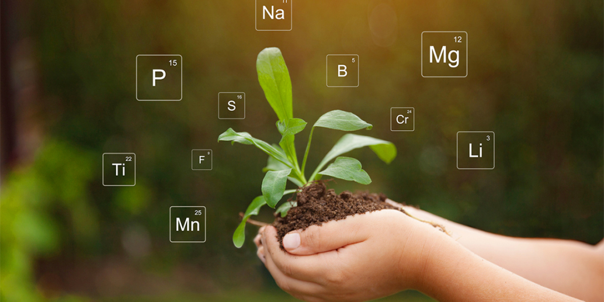 Potassium Nitrate: The Key to Higher Crop Yield and Better Plant Nutrition