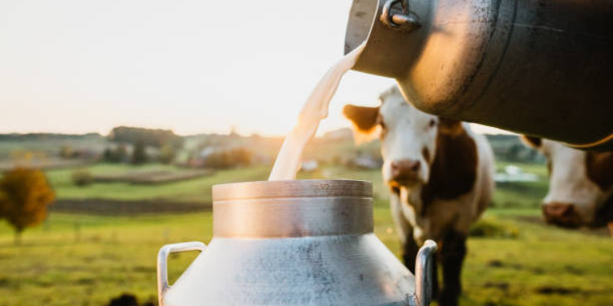 India Dairy Market Outlook With Changing Food Preferences