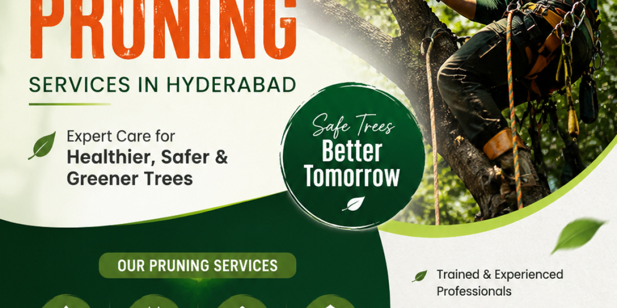 Expert Tips for Maintaining Healthy Trees with Professional Pruning Services