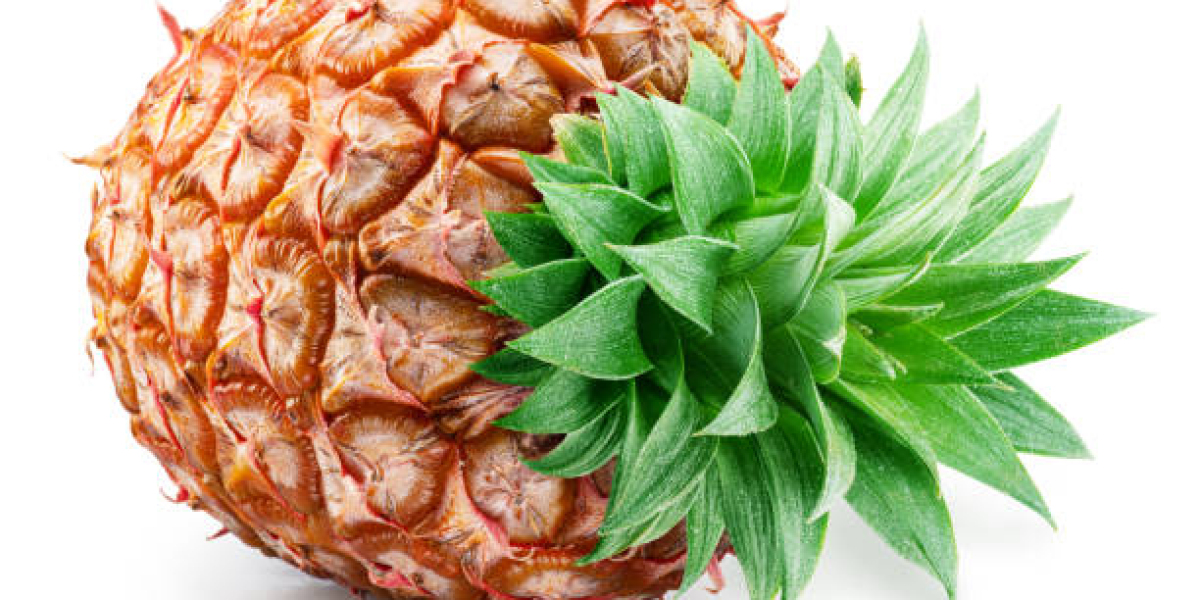 Bromelain Industry Analysis and Emerging Application Opportunities