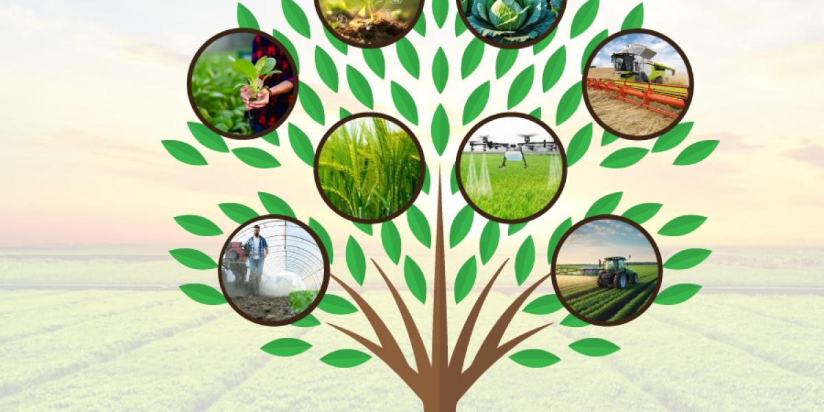 Agricultural Implement Market Growth Driven by Farm Innovation