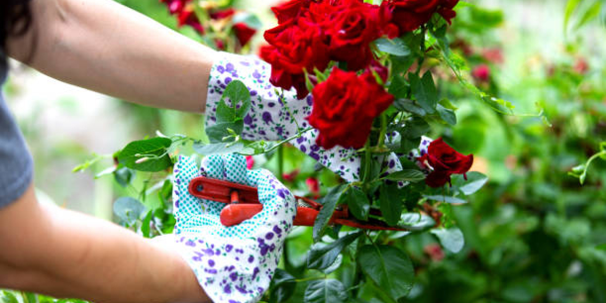 Cut Flower Market Future Outlook and Emerging Industry Trends