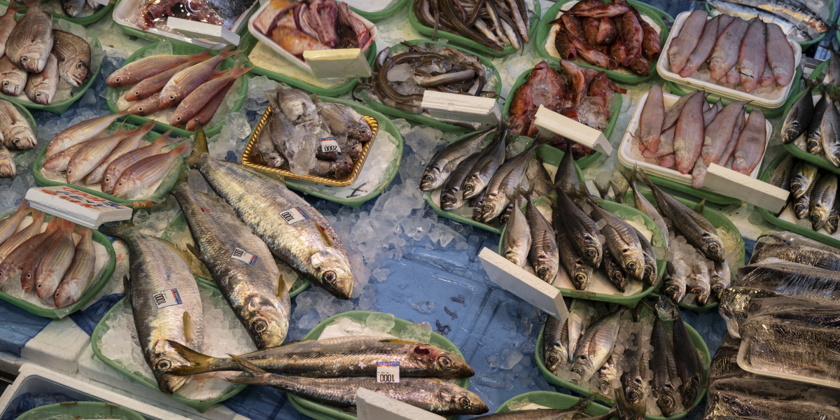 Aquaculture Market Trends 2026: Innovation, Growth, and Opportunities