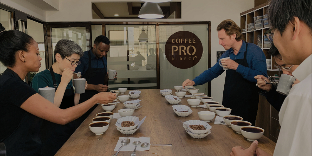 Mastering Precision Roasting with a 1kg Coffee Roaster