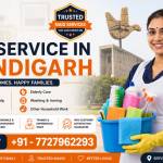 maidserviceschandigarh Profile Picture