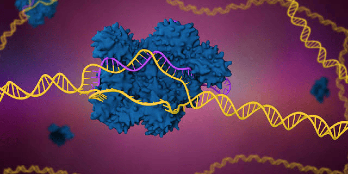 Genomics & CRISPR Market Insights: Single-Cell Genomics, Multi-Omics, and AI Create New Opportunities