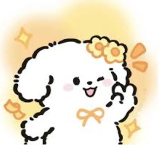 chinahai Profile Picture