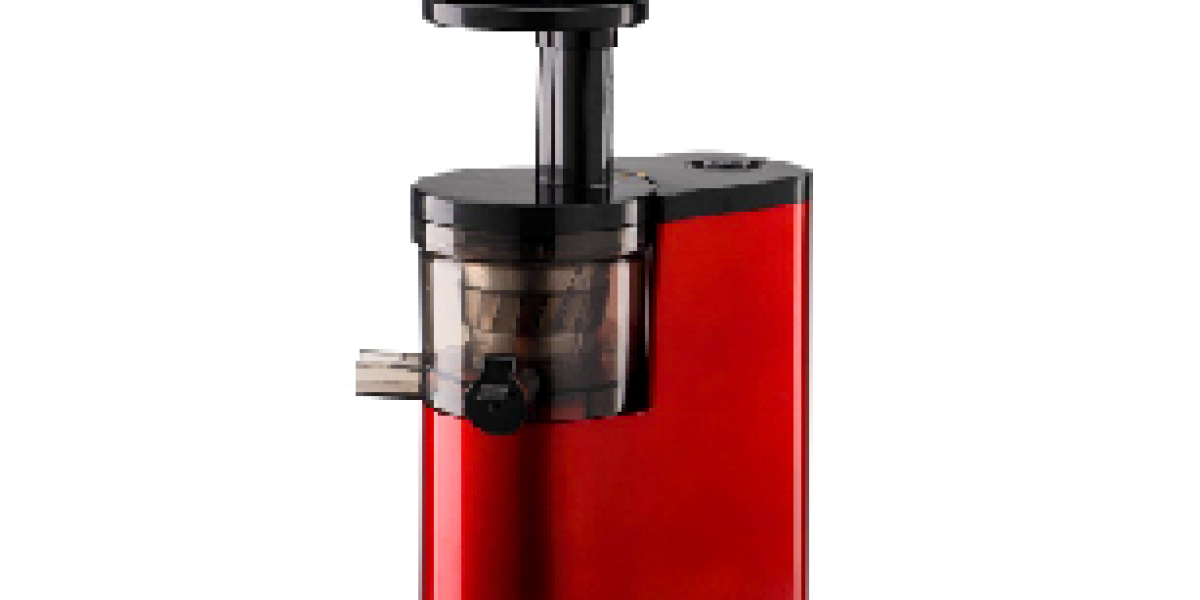 Slow Juicer Supplier Supporting Modern Beverage Development