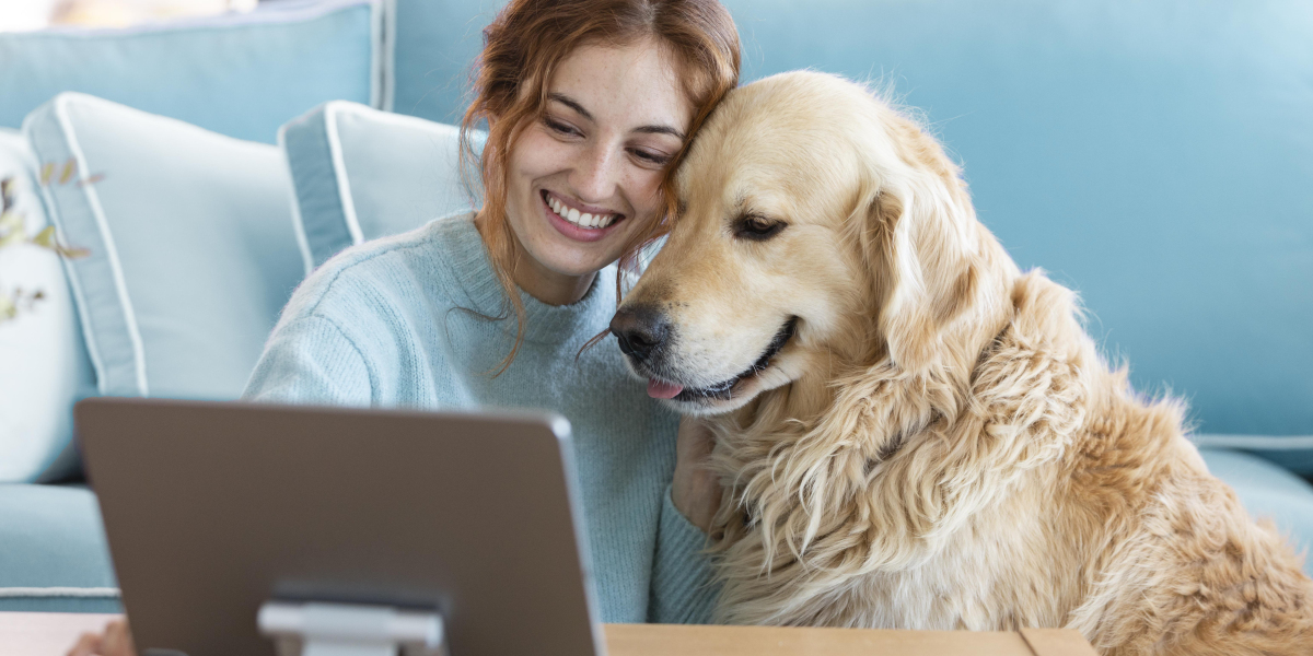 Pet Insurance Market Analysis: Investment, Innovation, and Growth Opportunities Through 2034