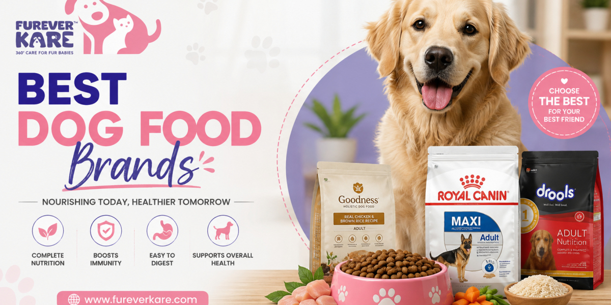 Best Dog Food Brands for Healthy Nutrition | Furever Kare