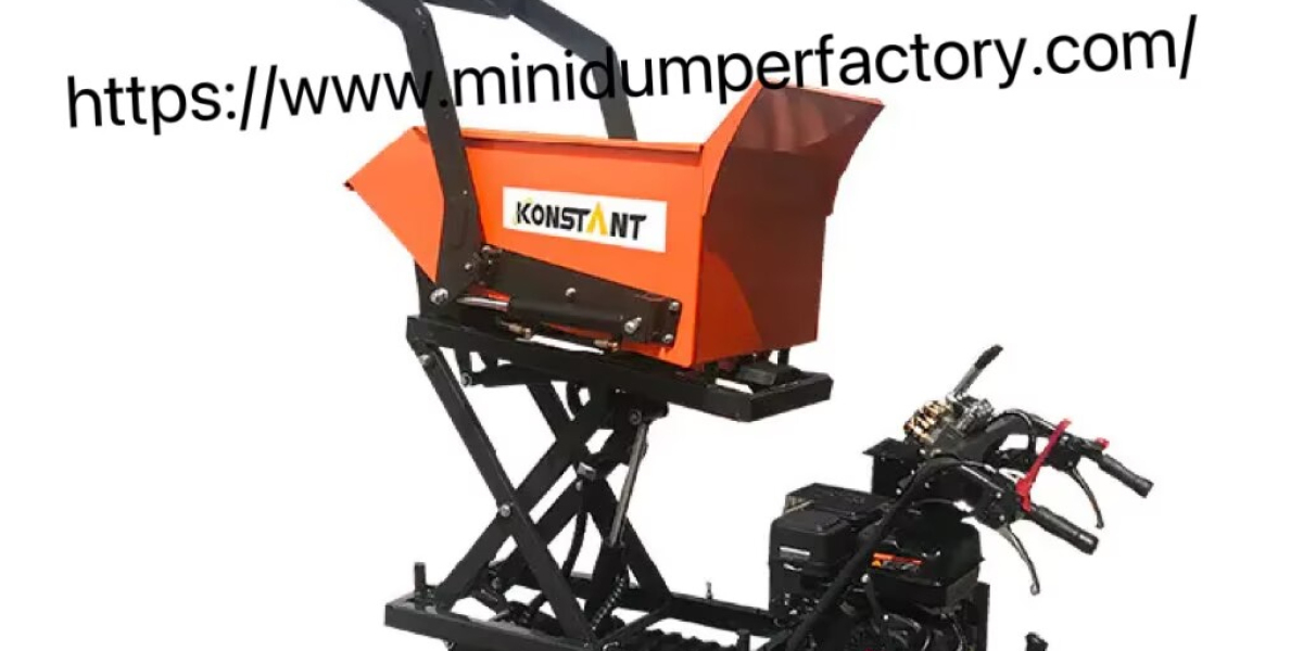 What Questions Matter When Selecting minidumperfactory Power Barrow Factory?