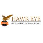 Hawkeye detective Profile Picture