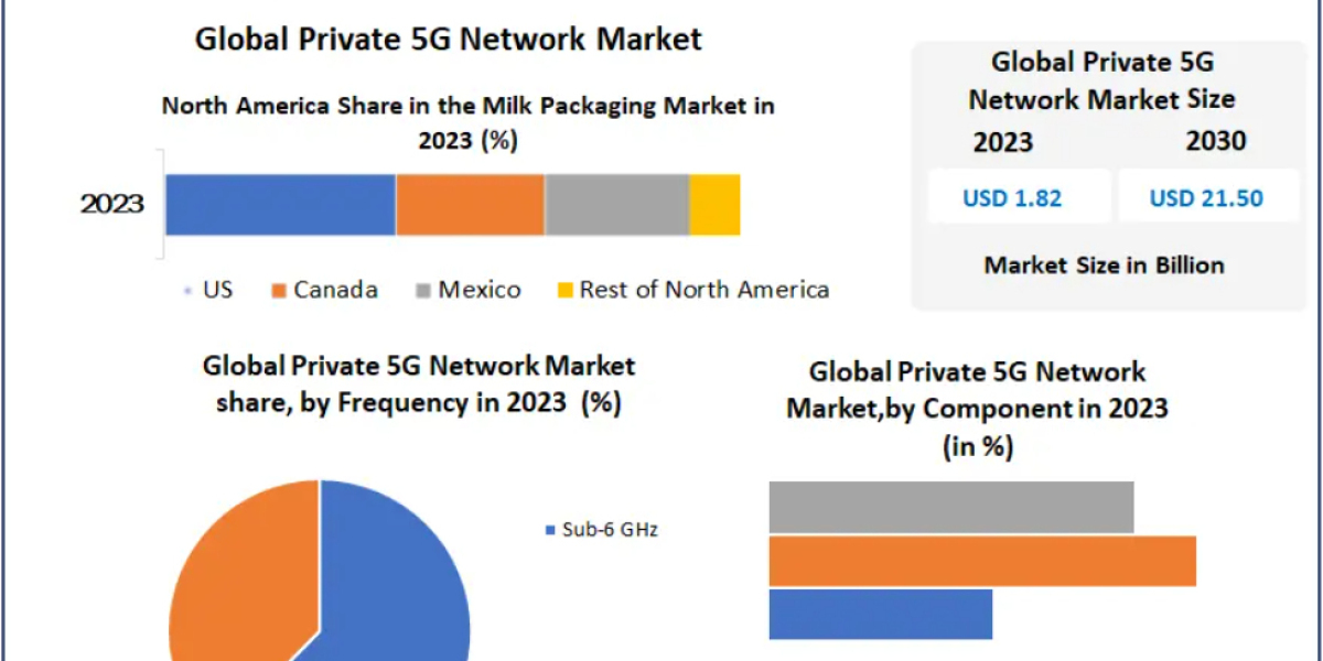 Private 5G Network Market Size, Industry Trends, Key Players and Future Growth Opportunities by 2030