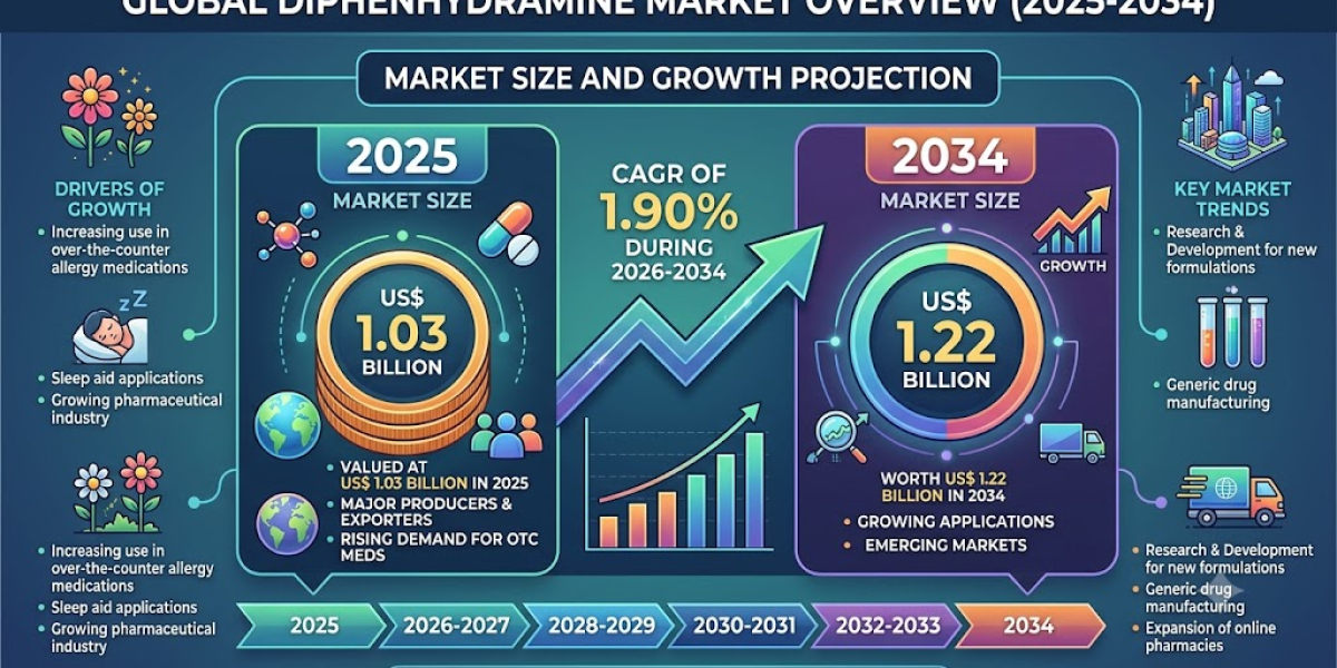 Key Factors Influencing the Future of the US Diphenhydramine Market
