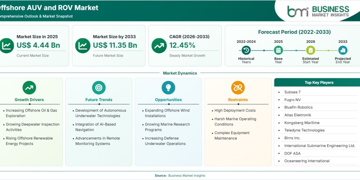 Offshore AUV and ROV Market Poised for 12.45% CAGR Growth Through 2033