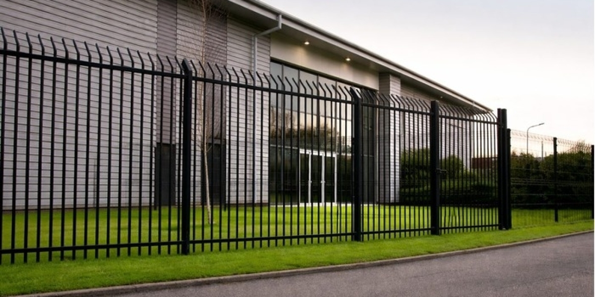 What Should You Know About Dog Fences in Asheville?