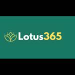 Lotus365 Profile Picture