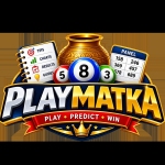 playmatkagames Profile Picture