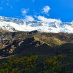 Kinnaur New Year Profile Picture