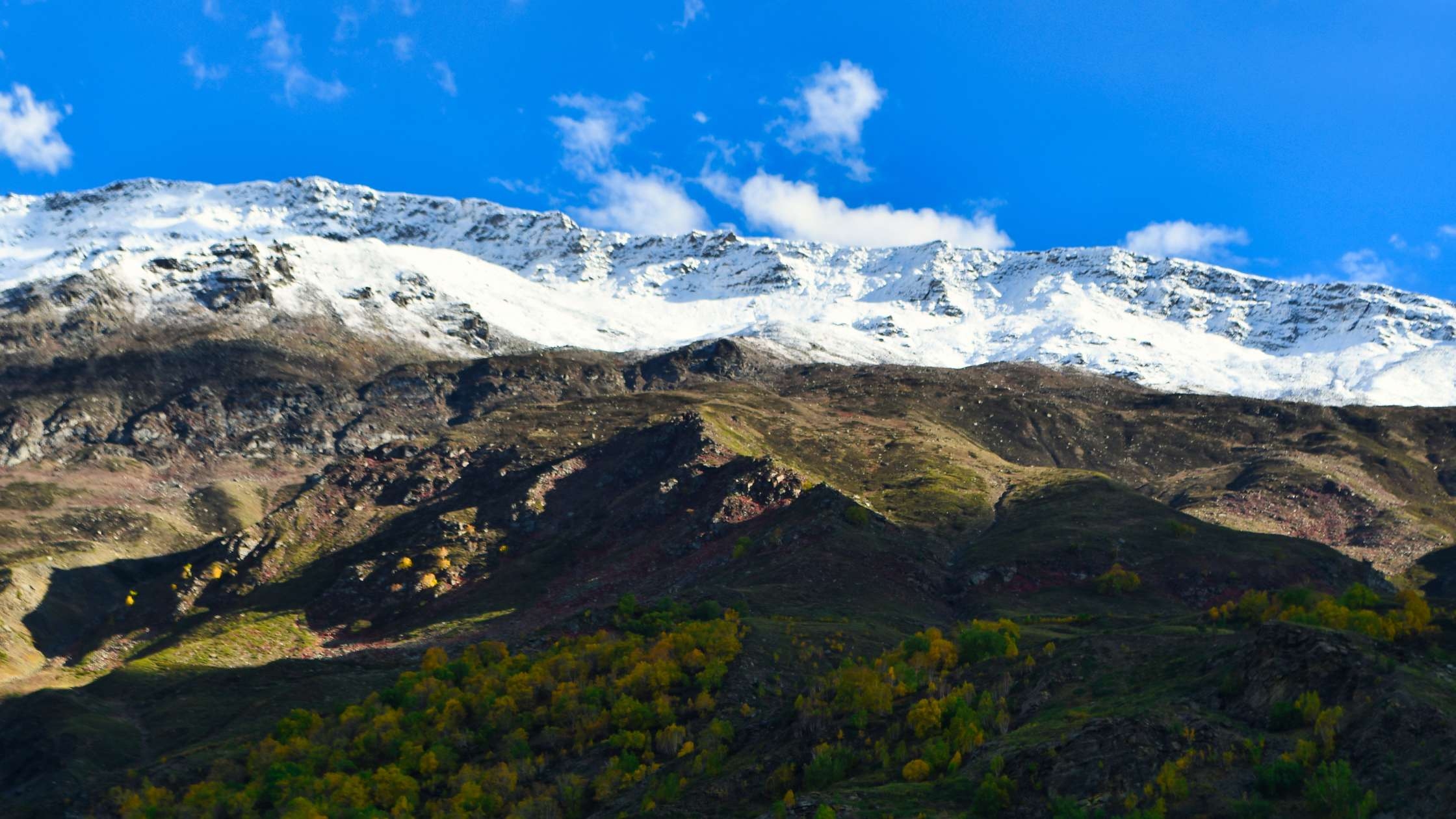 Kinnaur New Year Profile Picture